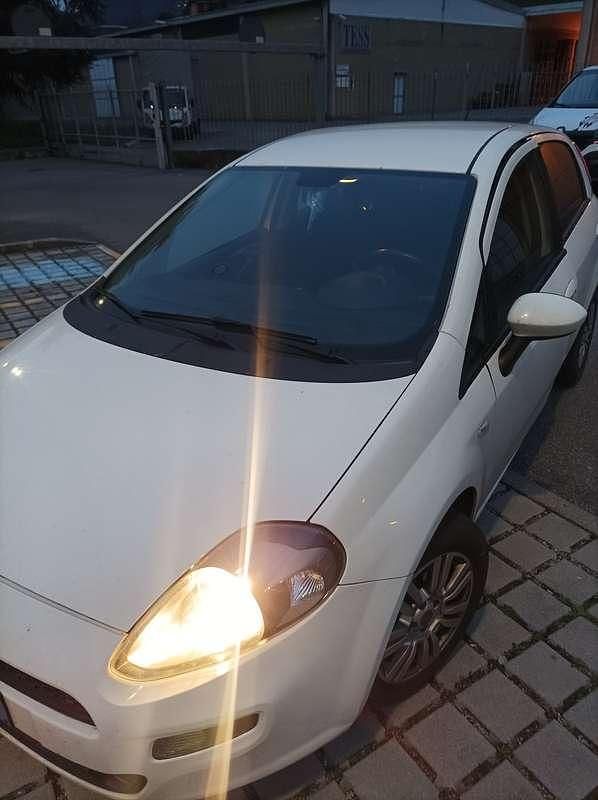 Usata Fiat Punto Lounge 77 CV (56 kW) 2013 Bianco Utilitaria