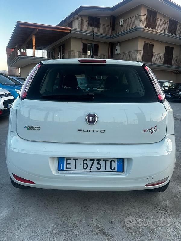 Usata Fiat Punto Pop 69 CV (50 kW) 2014 Bianco Furgone