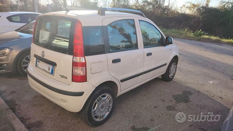 Usata Fiat Panda 2012 Bianco Utilitaria