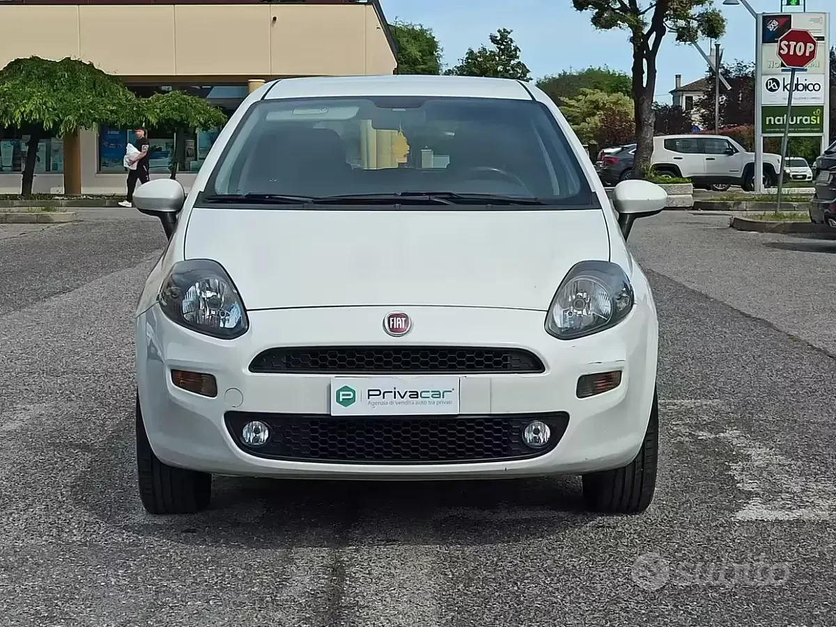 Usata Fiat Punto Lounge 77 CV (56 kW) 2013 Bianco Utilitaria