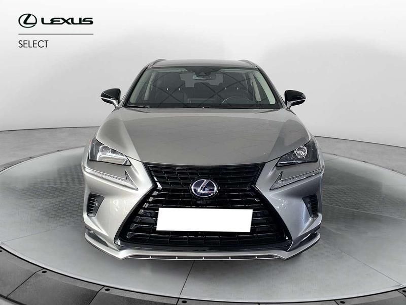 Usata Lexus NX300h 155 CV (114 kW) 2021 Other SUV