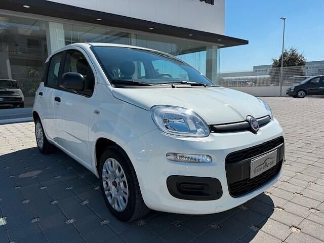 Usata Fiat Panda Easy 69 CV (50 kW) 2020 Bianco Utilitaria