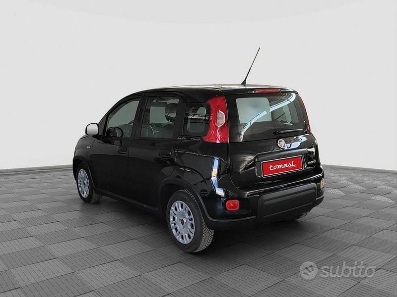 Usata Fiat Panda S 69 CV (50 kW) 2024 Nero Utilitaria