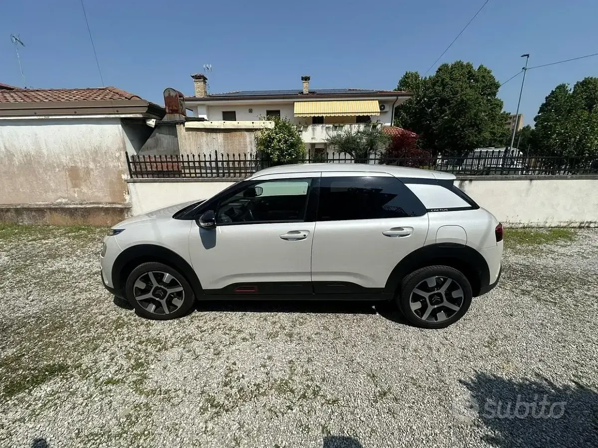 Usata Citroën C4 Shine 110 CV (80 kW) 2020 Bianco Berlina
