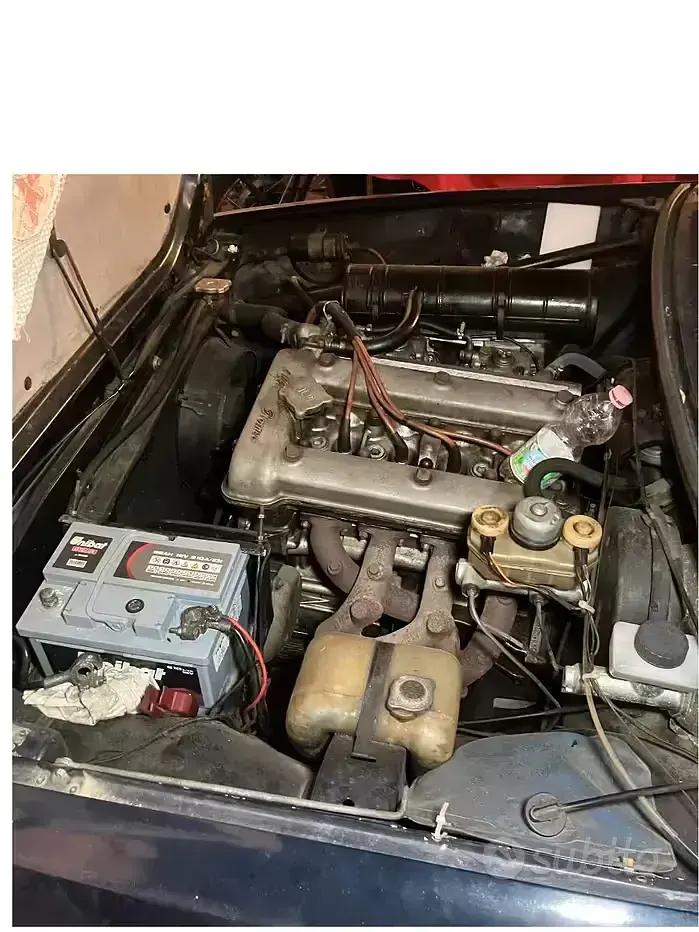 Usata Alfa Romeo GT 1970 Coupé