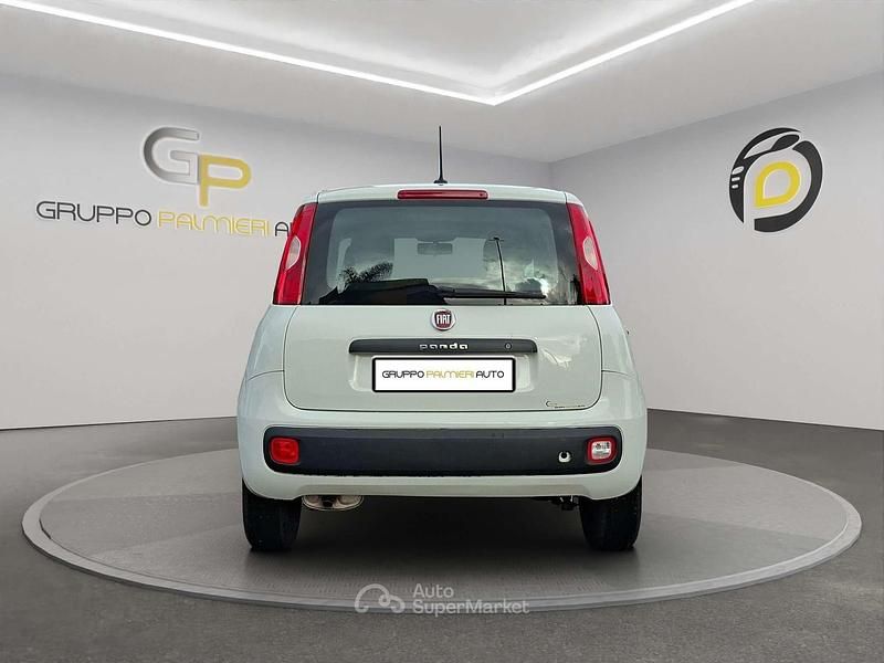 Usata Fiat Panda Easy 69 CV (50 kW) 2019 Bianco Utilitaria