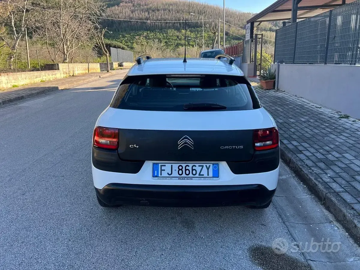 Usata Citroën C4 Cactus Shine 82 CV (60 kW) 2017 Bianco Utilitaria