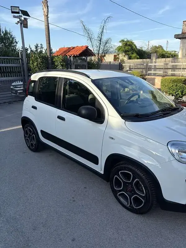 Usata Fiat Panda Cross Cross 69 CV (50 kW) 2021 Utilitaria
