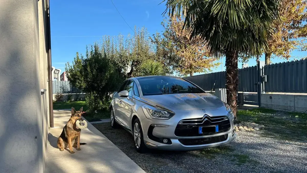 Usata Citroën DS5 So Chic 181 CV (133 kW) 2015 Utilitaria