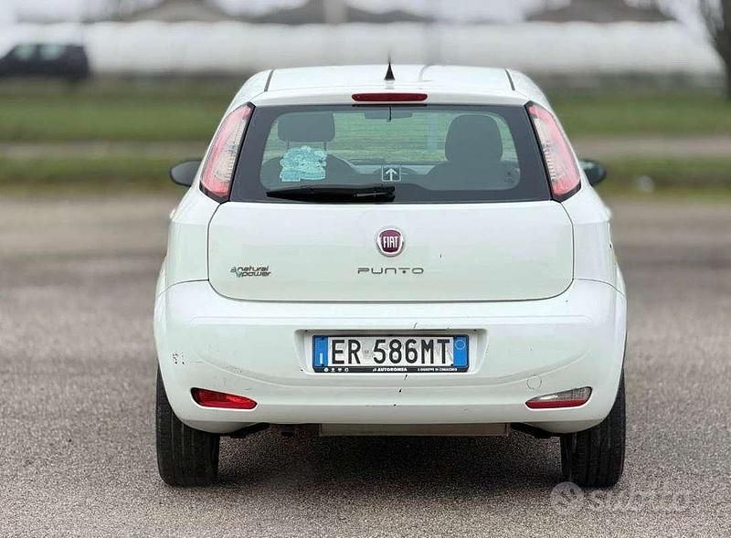Usata Fiat Punto Evo 69 CV (50 kW) 2013 Utilitaria