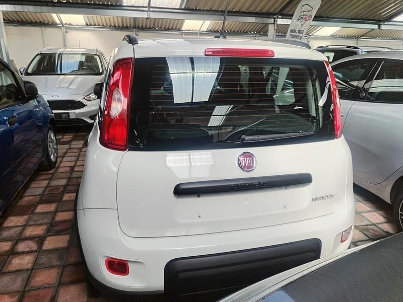 Usata Fiat Panda S 70 CV (51 kW) 2022 Bianco Berlina