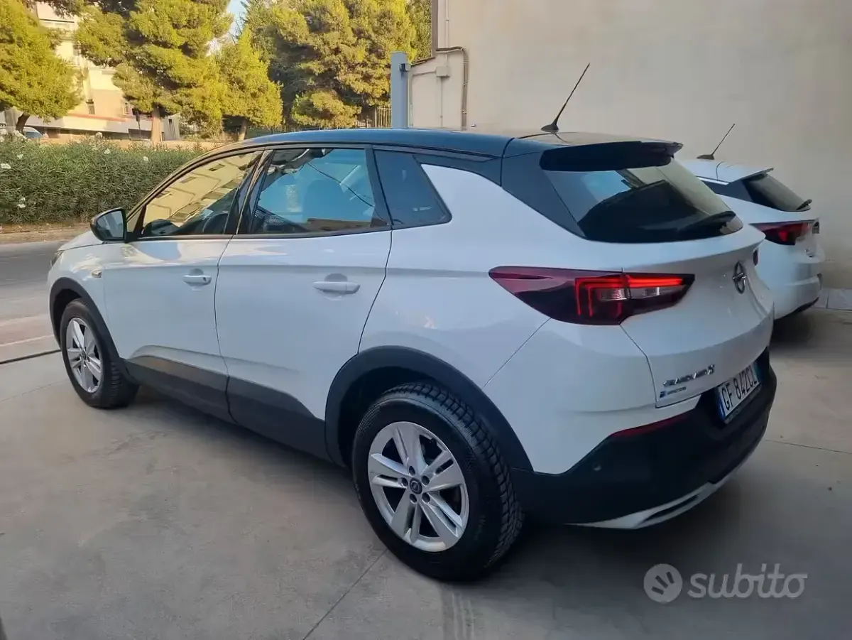 Usata Opel Grandland X Business Elegance 131 CV (96 kW) 2021 Bianco SUV