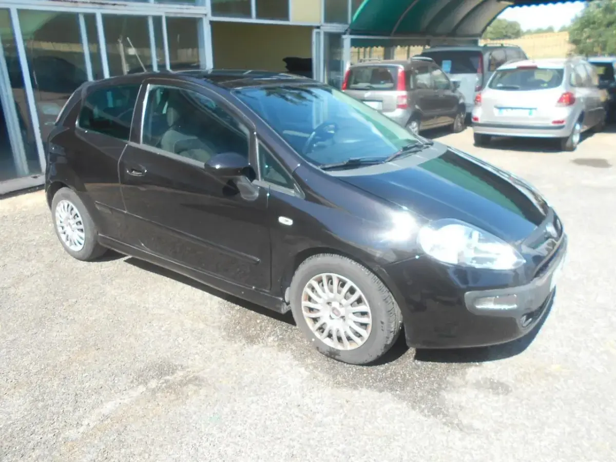 Usata Fiat Punto Evo Active 95 CV (69 kW) 2012 Nero Utilitaria