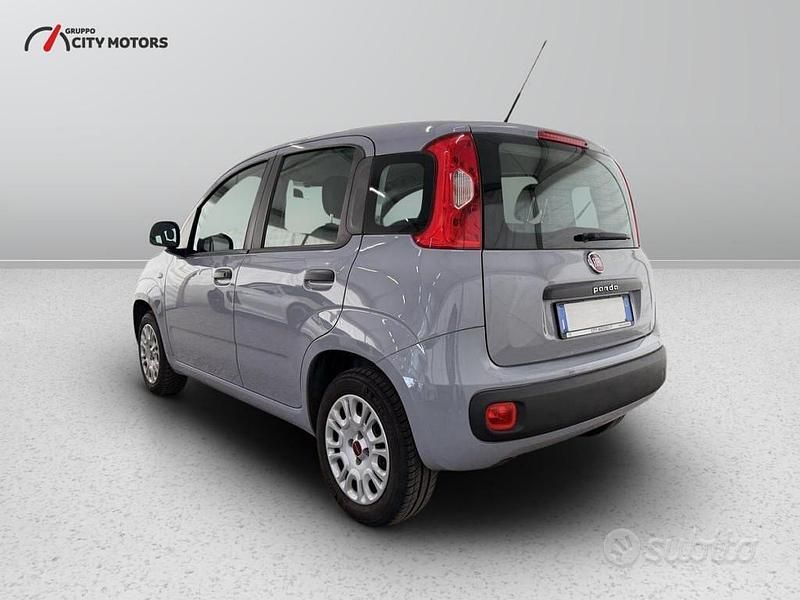 Usata Fiat Panda Pop 69 CV (50 kW) 2018 Grigio Utilitaria