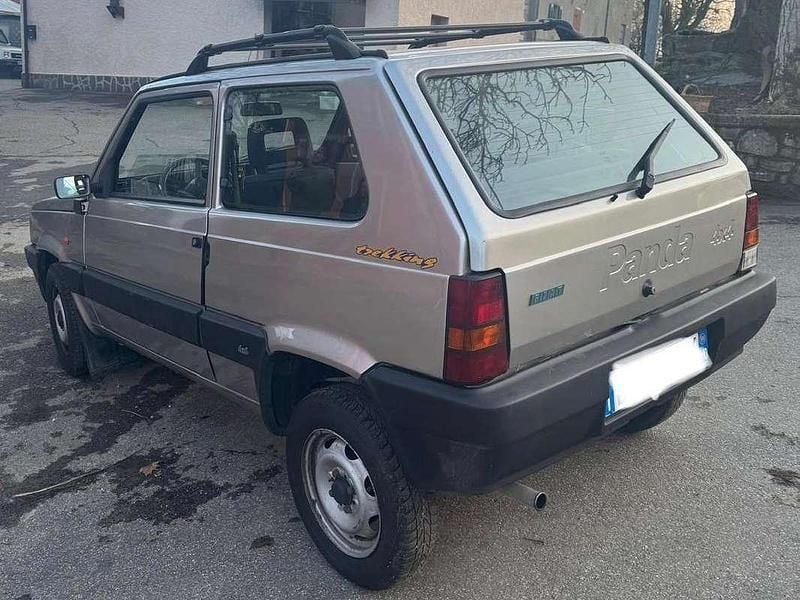 Usata Fiat Panda 4x4 Trekking 54 CV (39 kW) 1999 Argento Utilitaria