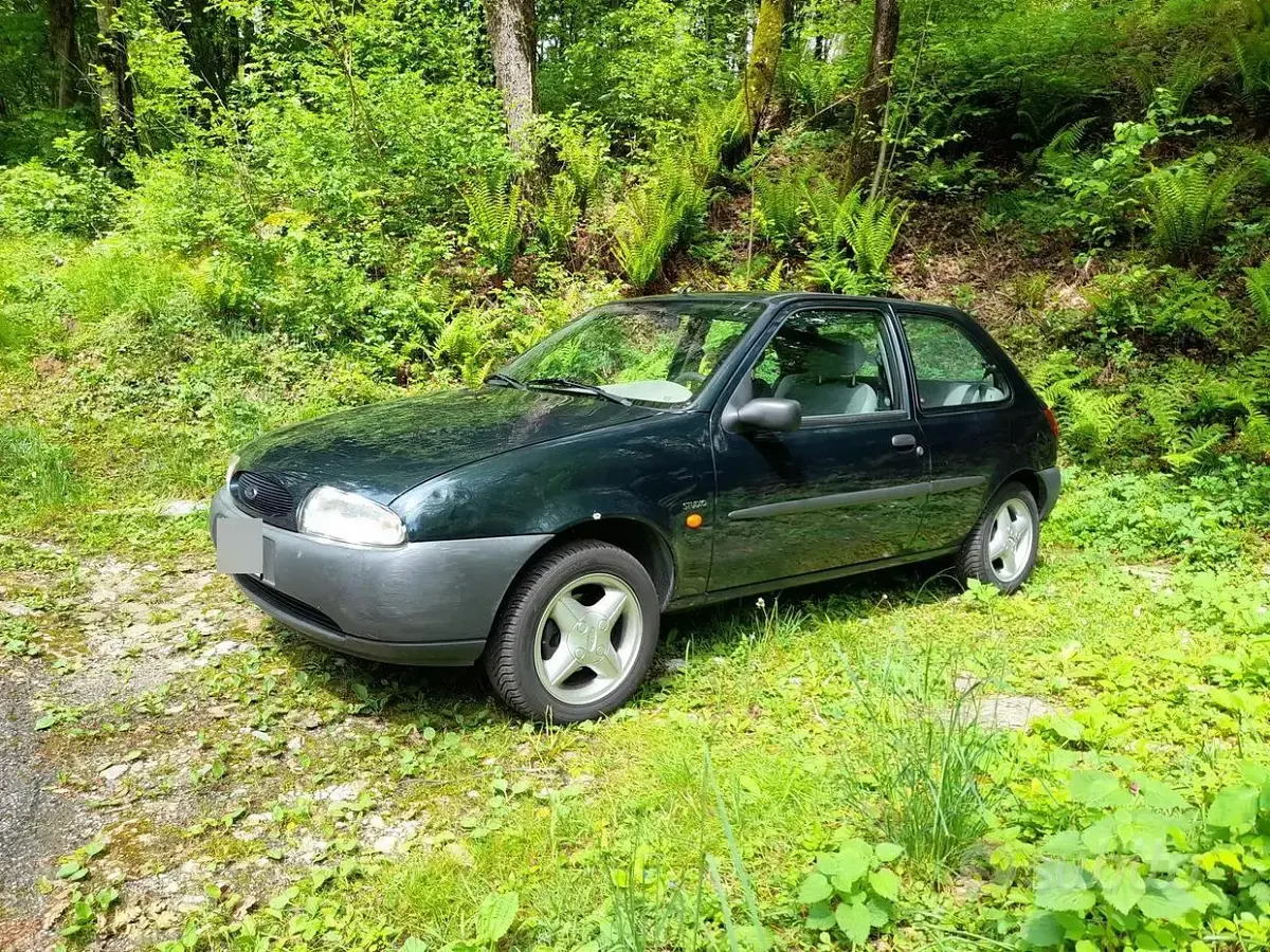 Usata Ford Fiesta 75 CV (55 kW) 1996 Utilitaria