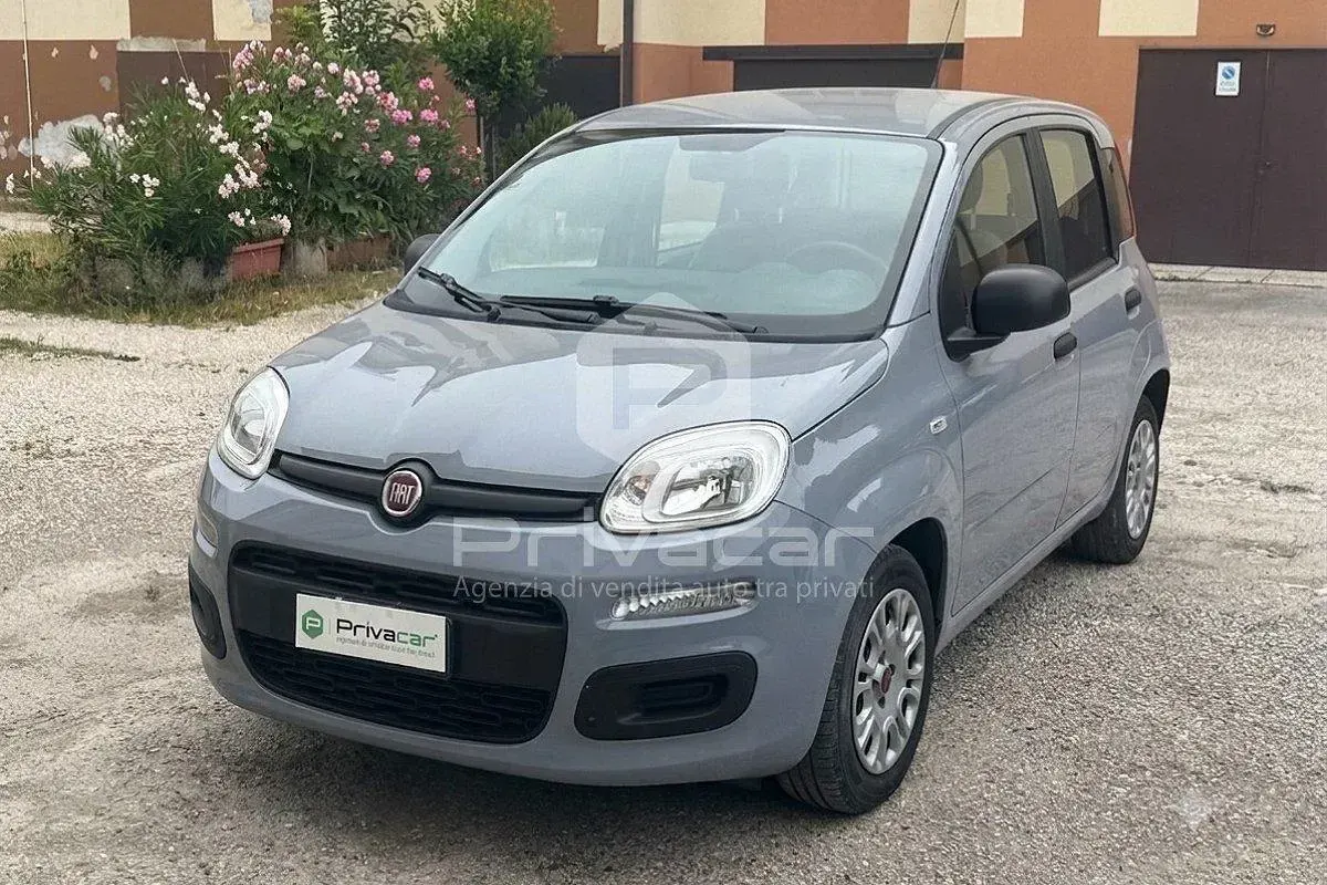 Usata Fiat Panda S 70 CV (51 kW) 2021 Grigio Utilitaria