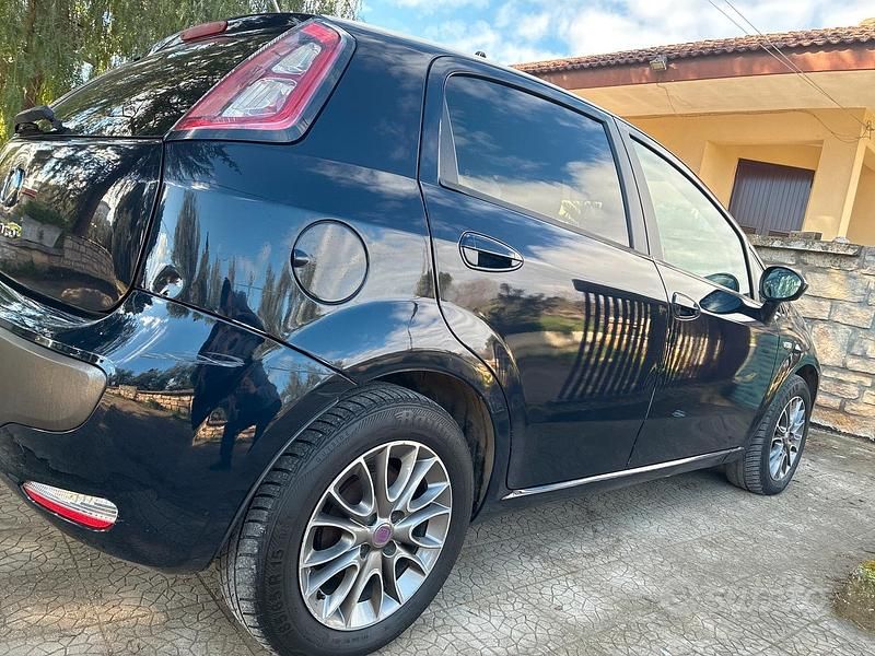 Usata Fiat Punto Evo 75 CV (55 kW) 2010 Blu Utilitaria