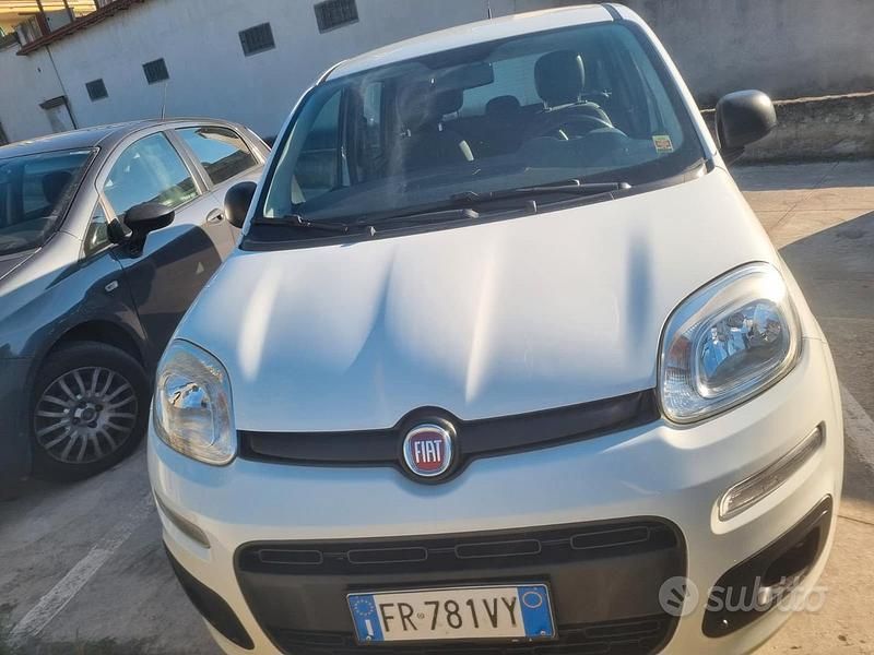 Usata Fiat Panda Easy 95 CV (69 kW) 2016 Bianco Berlina