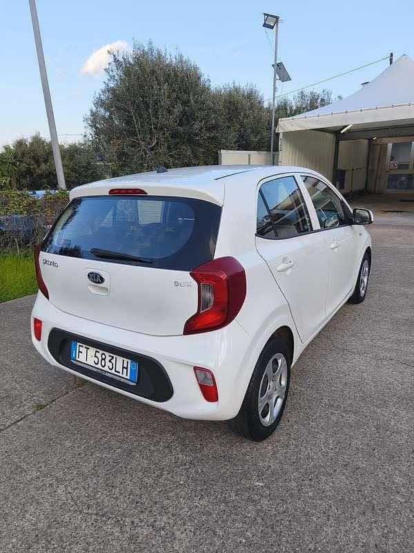 Usata Kia Picanto X-Line 67 CV (49 kW) 2019 Utilitaria