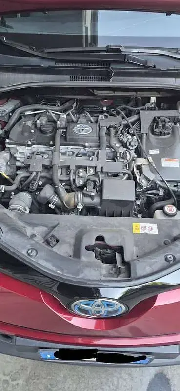 Usata Toyota C-HR Style 98 CV (72 kW) 2018 Rosso SUV