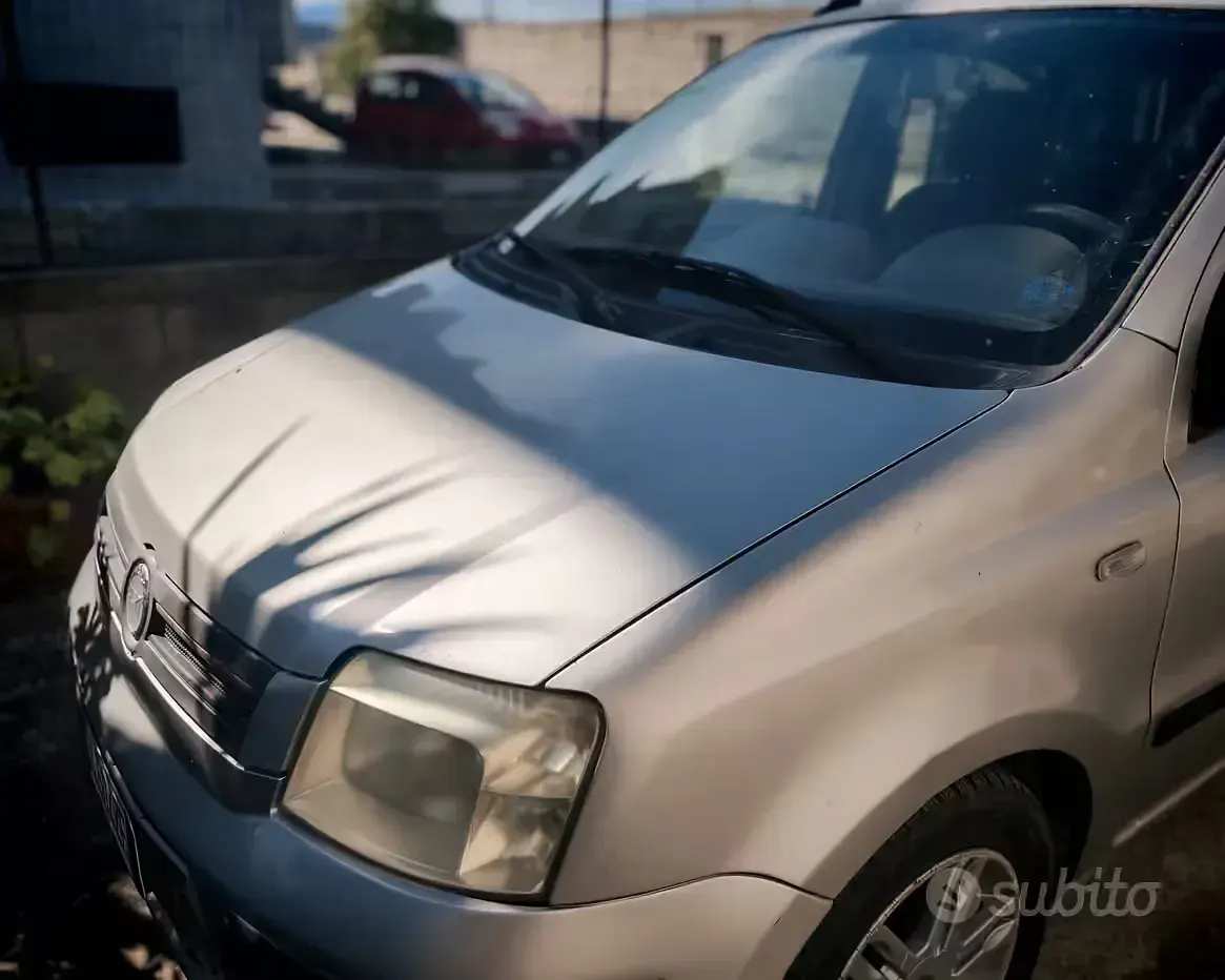 Usata Fiat Panda 60 CV (44 kW) 2005 Grigio Utilitaria