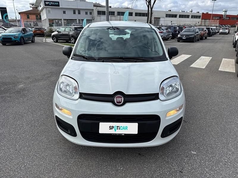 Usata Fiat Panda S 69 CV (50 kW) 2021 Bianco Utilitaria