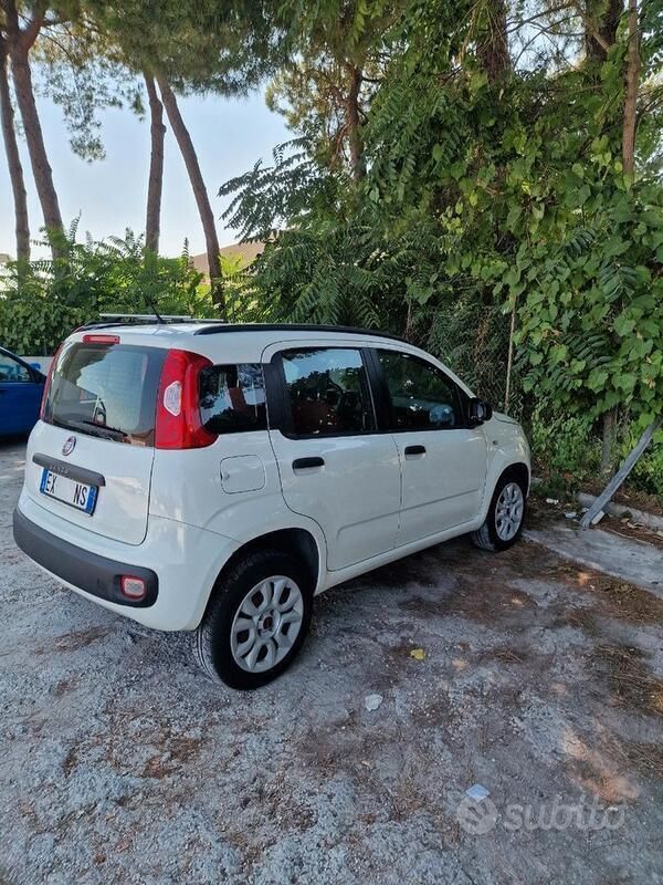 Usata Fiat Panda 85 CV (62 kW) 2015 Bianco Utilitaria