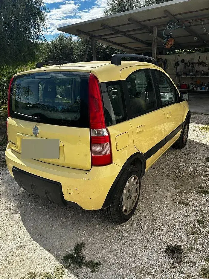 Usata Fiat Panda 4x4 60 CV (44 kW) 2005 Giallo Utilitaria