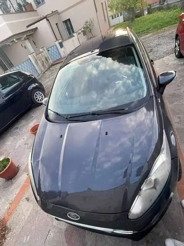 Usata Ford Fiesta Business Edition 92 CV (67 kW) 2015 Grigio Utilitaria
