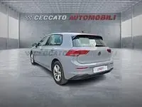 Usata VW Golf VIII Life 116 CV (85 kW) 2024 Grigio Utilitaria
