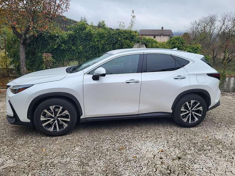 Usata Lexus NX200t 190 CV (139 kW) 2023 Bianco SUV