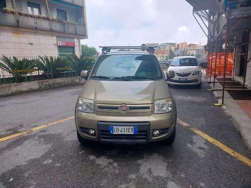 Usata Fiat Panda 4x4 Climbing 69 CV (50 kW) 2010 Bronzo Utilitaria