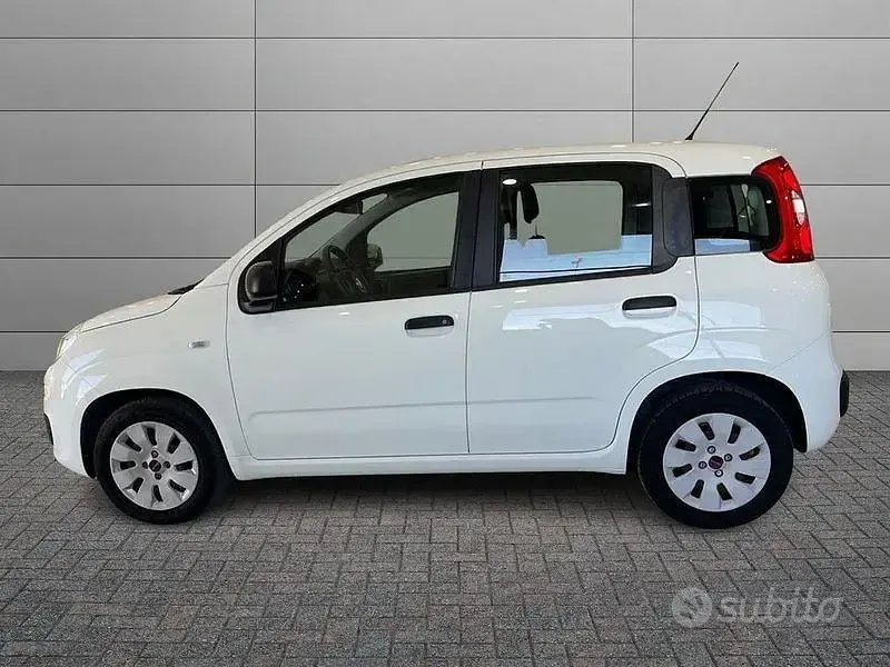 Usata Fiat Panda Easy 69 CV (50 kW) 2017 Bianco Utilitaria