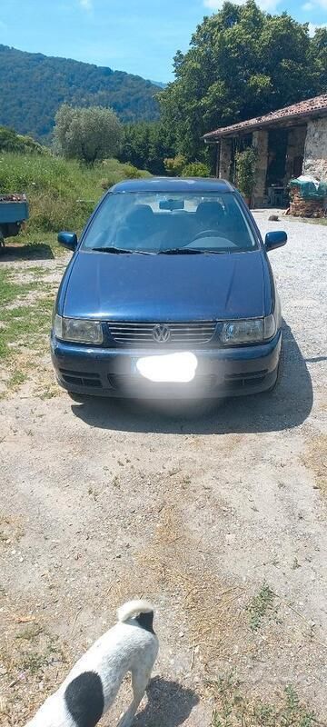 Usata VW Polo 50 CV (36 kW) 1999 Blu Utilitaria