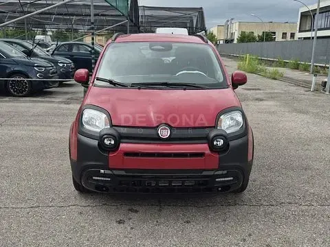 Nuova Fiat Panda Cross Cross 65 CV (47 kW) 2026 Rosso Utilitaria