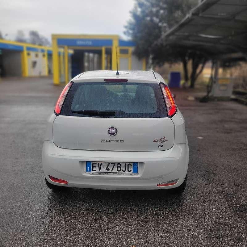 Usata Fiat Punto Easy 75 CV (55 kW) 2014 Utilitaria