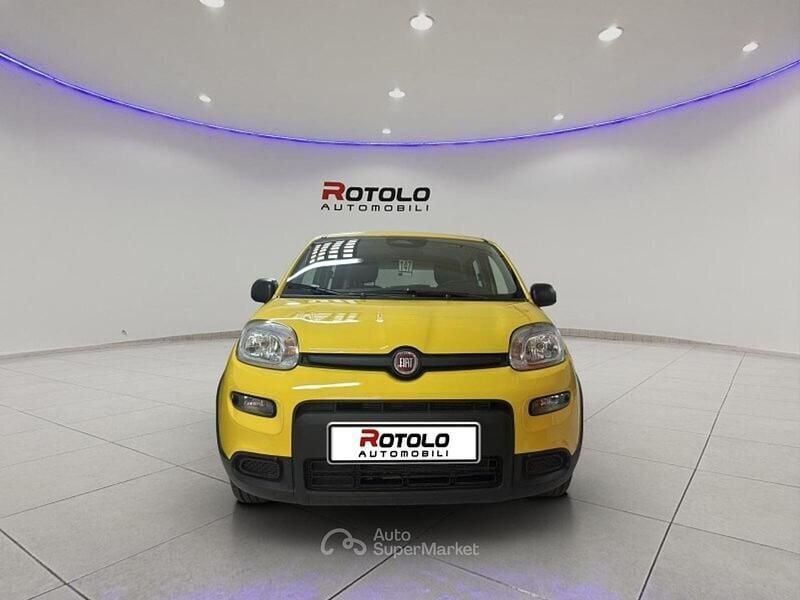 Nuova Fiat Panda S 69 CV (50 kW) 2026 Giallo Utilitaria