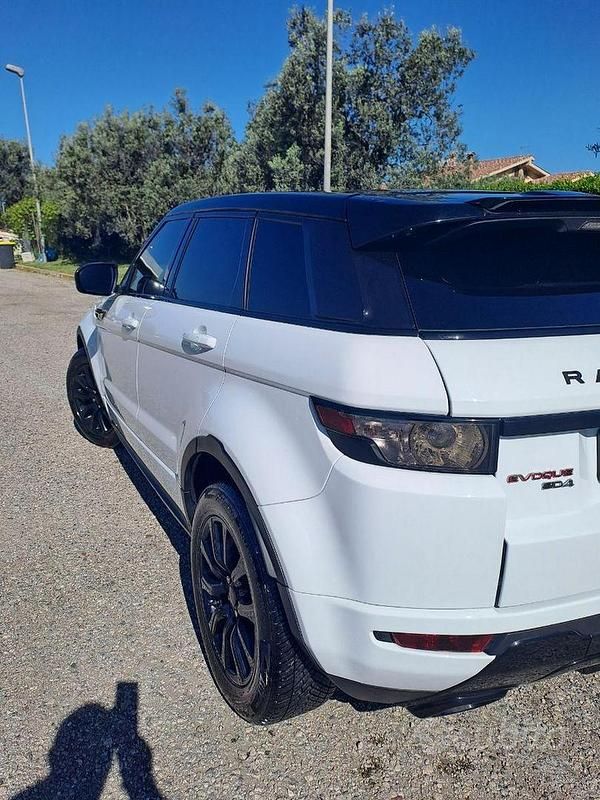 Usata Land Rover Range Rover evoque 190 CV (139 kW) 2013 Bianco SUV