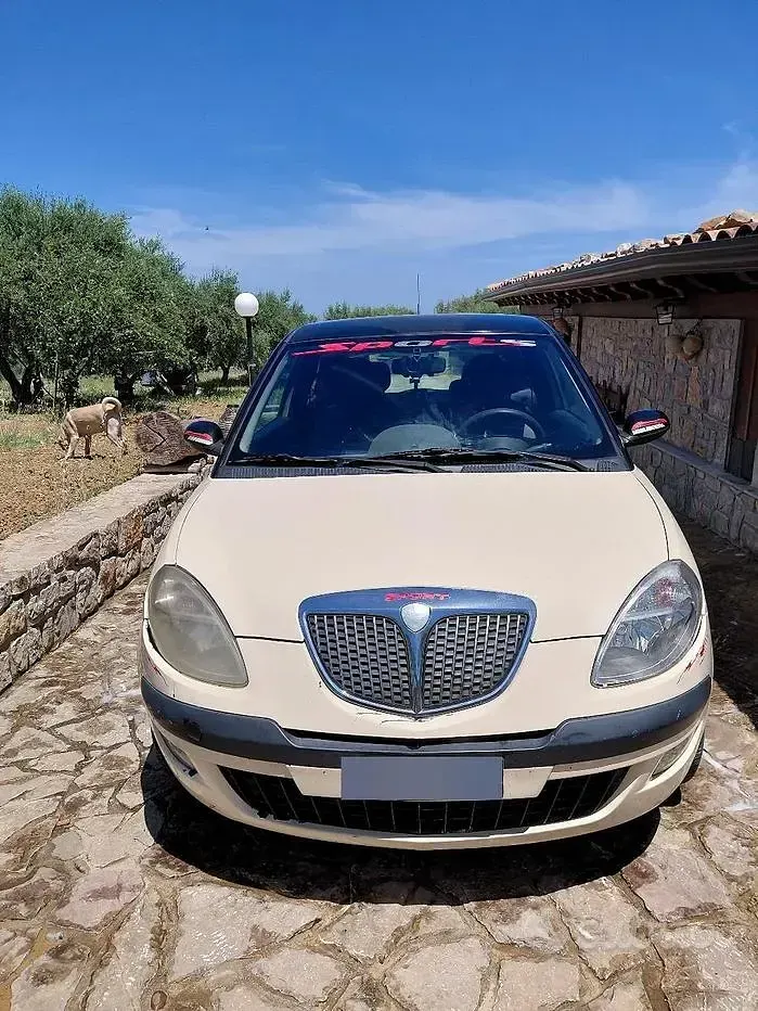 Usata Lancia Ypsilon 69 CV (50 kW) 2004 Utilitaria