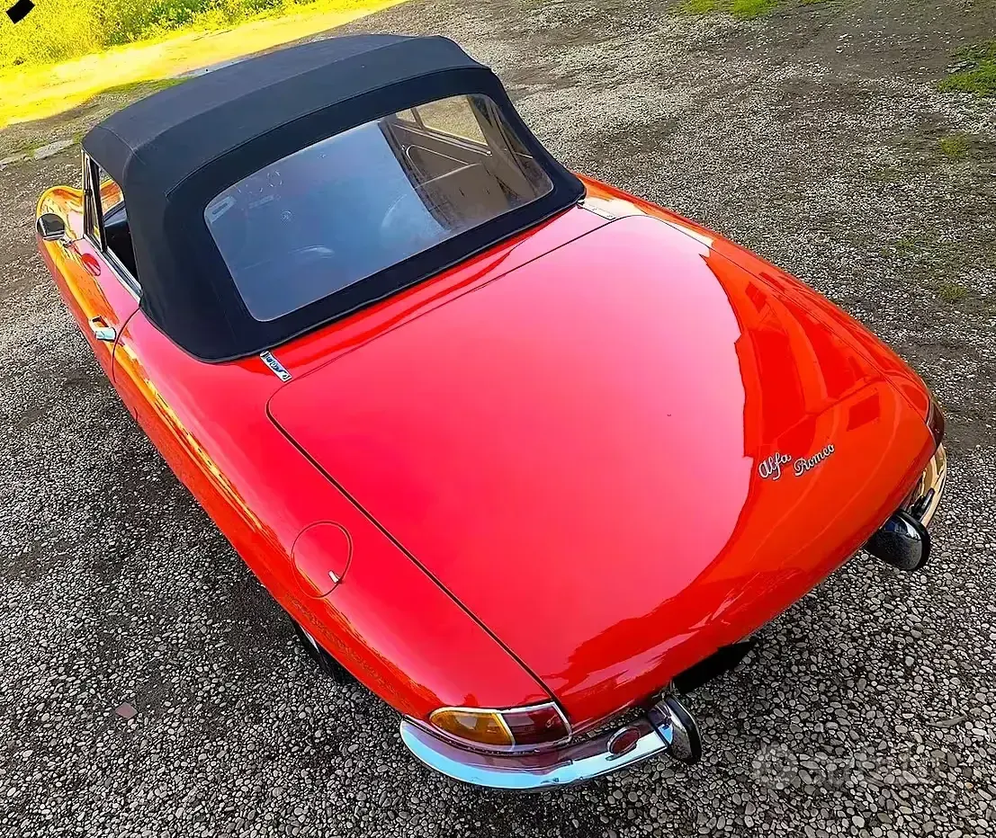 Usata Alfa Romeo Spider 102 CV (75 kW) 1960 Rosso Cabrio