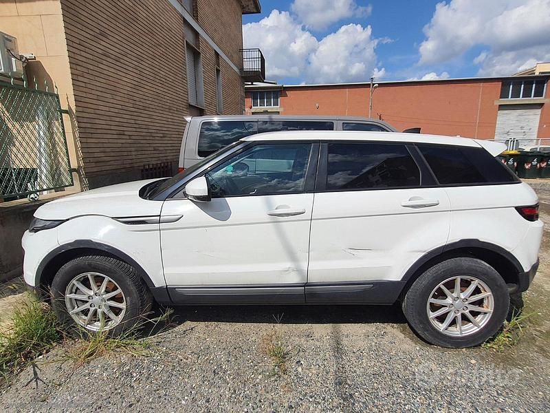 Usata Land Rover Range Rover evoque 150 CV (110 kW) 2016 Bianco SUV