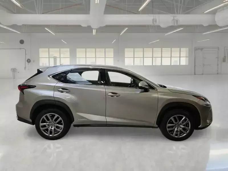 Usata Lexus NX300h 154 CV (113 kW) 2020 SUV
