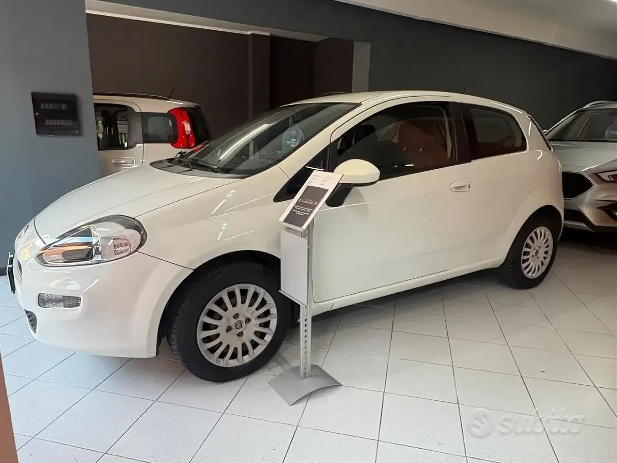 Usata Fiat Punto Street 69 CV (50 kW) 2014 Bianco Utilitaria