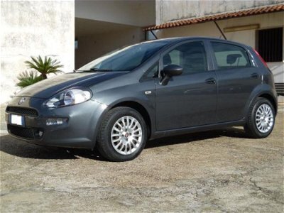 Usato 2015 Fiat Punto 1.2 Benzin 78 CV (7.500 €)