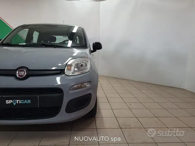 Usata Fiat Panda Easy 69 CV (50 kW) 2019 Grigio Utilitaria