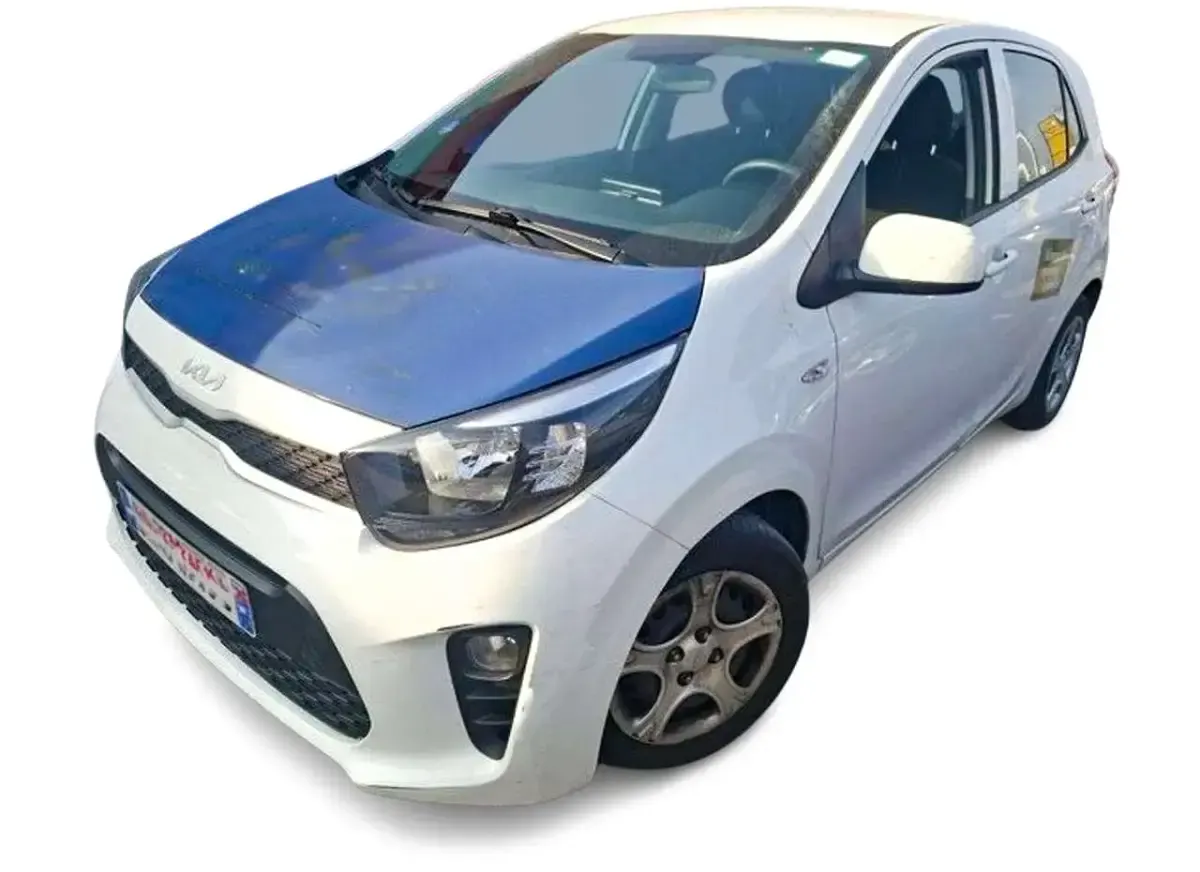 Usata Kia Picanto Active 67 CV (49 kW) 2022 Utilitaria