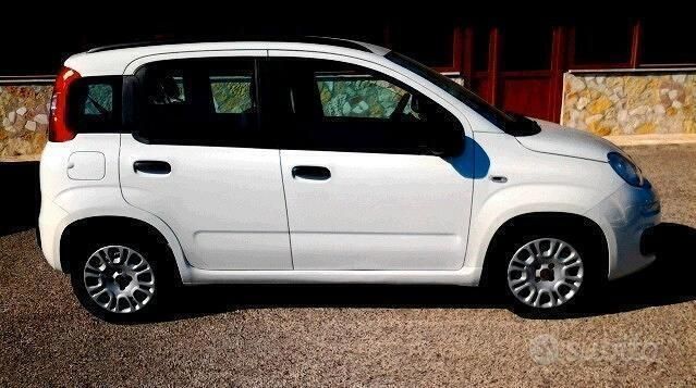 Usata Fiat Panda Easy 75 CV (55 kW) 2015 Bianco Utilitaria