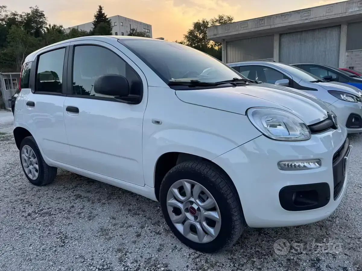 Usata Fiat Panda Easy 80 CV (58 kW) 2018 Bianco Utilitaria