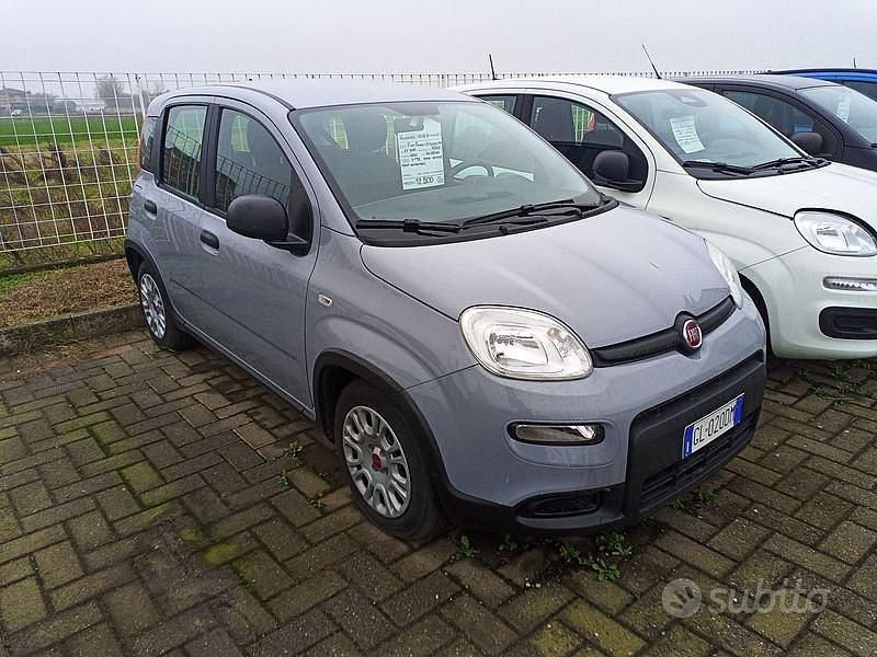 Usata Fiat Panda S 70 CV (51 kW) 2022 Grigio Utilitaria